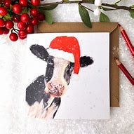 Image result for Dairy Cow Christmas Cards