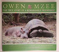 Image result for Owen and Mzee