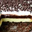 Image result for Cheesecake Dessert Recipes