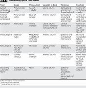 Image result for Spinal DIC Chart