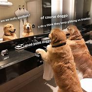 Image result for Doggo General Meme