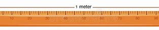 Image result for Wooden Meter Ruler