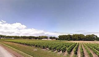 Image result for Margaux Wine