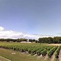 Image result for Margaux Wine