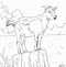 Image result for Goat Man Drawing