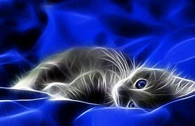 Image result for Animated Cat with Wings Wallpaper