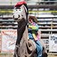 Image result for Rodeo Clown Plus Size