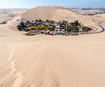 Image result for Oasis Desert Town