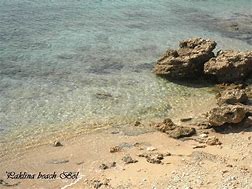 Image result for Bol Beach Croatia