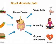 Image result for Basal Metabolic Rate with Black Background