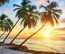 Image result for Tropical Beach 4K