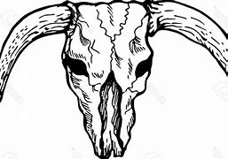 Image result for Texas Longhorn Drawing