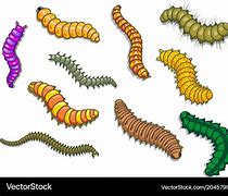 Image result for Small Worm Images