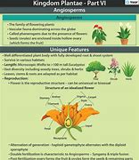 Image result for Reproduction in Angiosperms