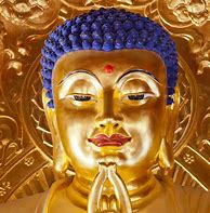 Image result for Real Buddha