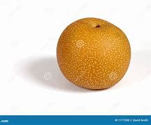 Image result for Oriental Pear Tree