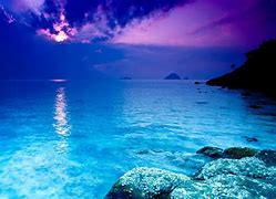 Image result for Sea Background Images Brown