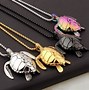 Image result for Sea Turtle Gifts for Men