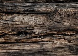 Image result for Wood Wall Texture Log