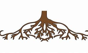 Image result for Tree Roots Clip Art Black and White