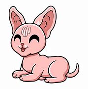 Image result for Cinnamon Sphynx Cat