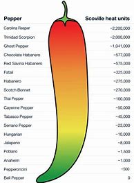 Image result for Scala Scoville