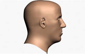 Image result for Human Head Profile