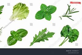 Image result for Man Utd Herb