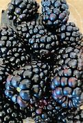 Image result for 100 Grams of Blackberries