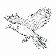 Image result for Raven Flying Drawing