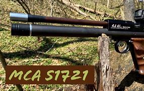 Image result for Airgun Gloock