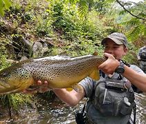 Image result for Fly Fishing Scenery