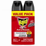 Image result for Raid Ant Spray