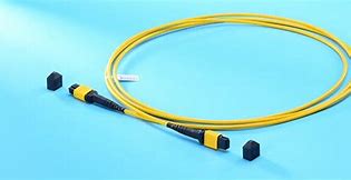 Image result for Fiber Optic Trunk