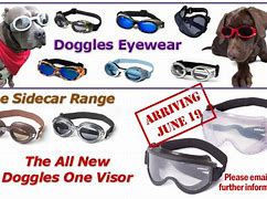 Image result for Doggles Eyewear