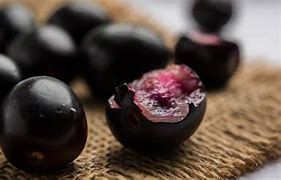 Image result for Black Plum Fruit