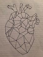 Image result for Geometric Anatomical Heart