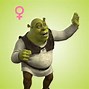 Image result for Thelonious Shrek Costume