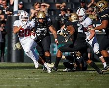 Image result for Wazzu Foo