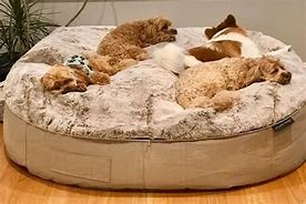 Image result for Specialty Dog Beds