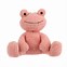 Image result for Pink Frog Stuffie