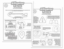 Image result for American Alligator Facts for Kids