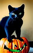 Image result for Halloween Dark Cat