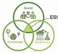 Image result for ESG Stragey Icon