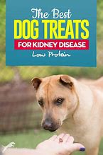 Image result for Dog Renal Treats