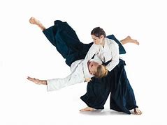 Image result for Aikido Circular Force Image