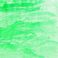 Image result for Green Canvas Background