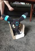 Image result for To My Eeveelution Plushies