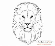 Image result for Simple Lion Drawing Pencil