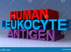 Image result for Human Leukocyte Antigen Gene Complex